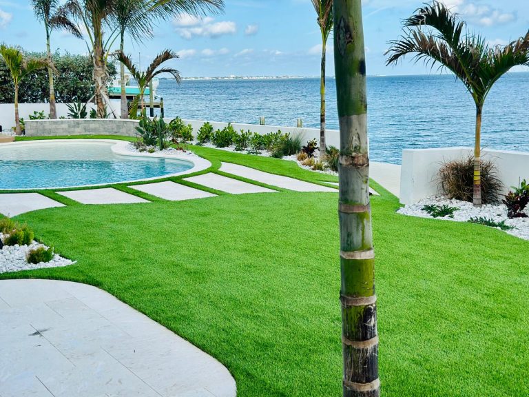 Best Plants for Pool Landscaping in Florida