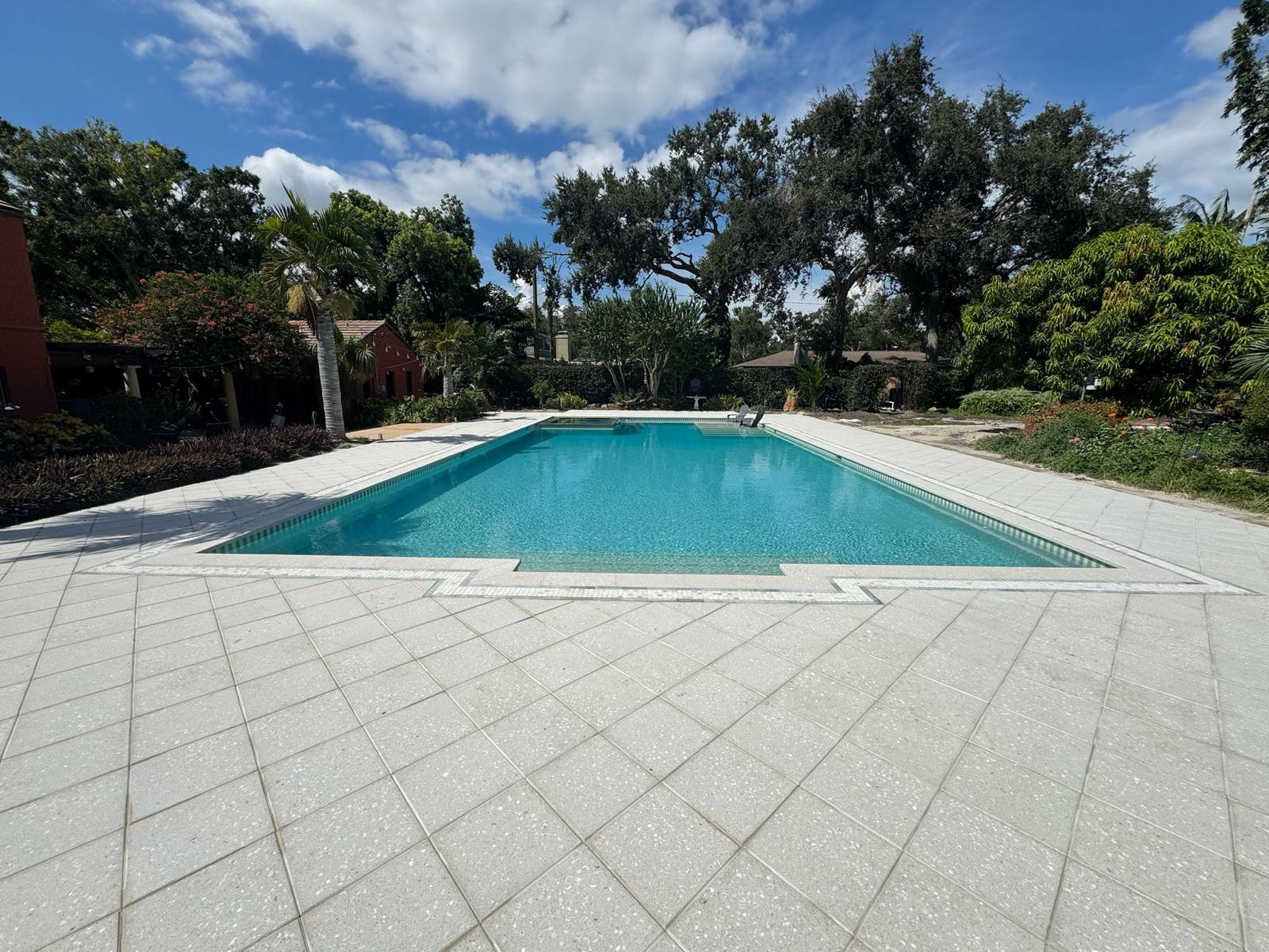 Wide rectangular pool with paver patio surrounded by trees in Clearwater