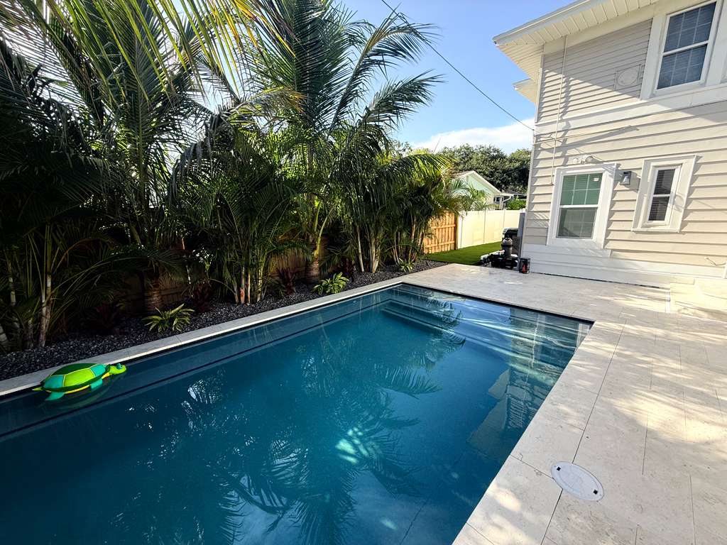 Sunlight shining on pool deck near spa and privacy palms in Tampa
