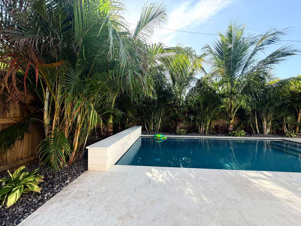 View of tropical backyard pool and spa framed by landscaping in Clearwater