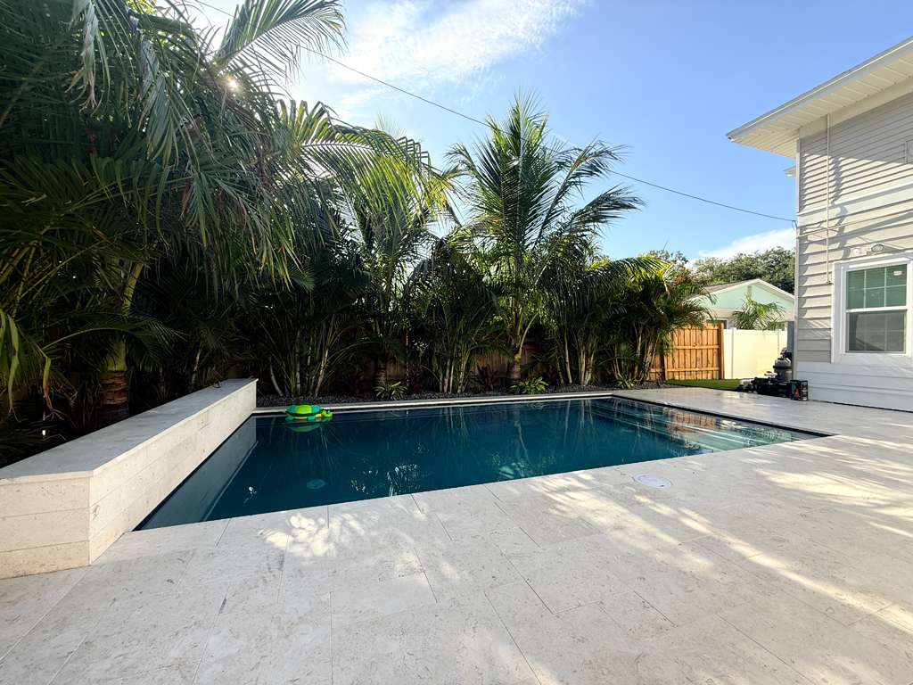 Narrow pool surrounded by privacy palms behind home in St. Petersburg